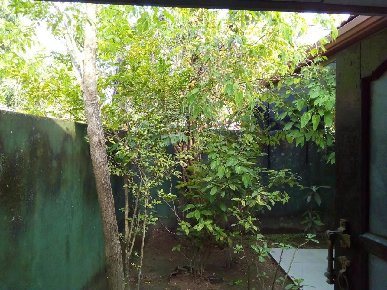 אונה ואטונה Ceylon Hostel-Galle מראה חיצוני תמונה